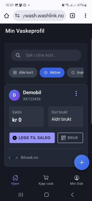 saldo1